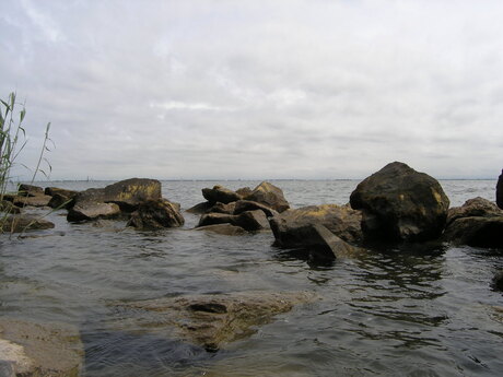 IJselmeer vanaf Uitdammerdijk