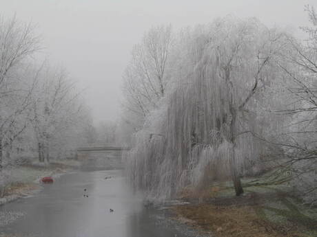 rijp voor de winter in Almere