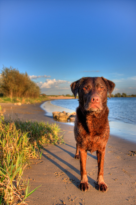 Max in de uiterwaarden