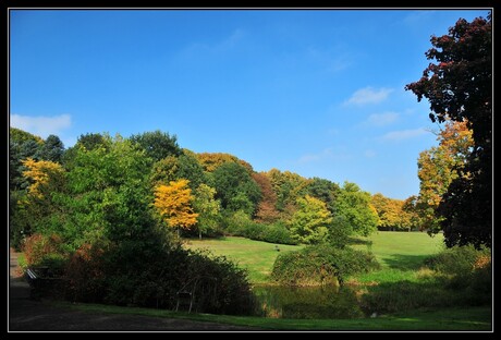 Herfstkleuren...