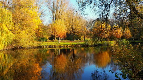 Herfst in het park