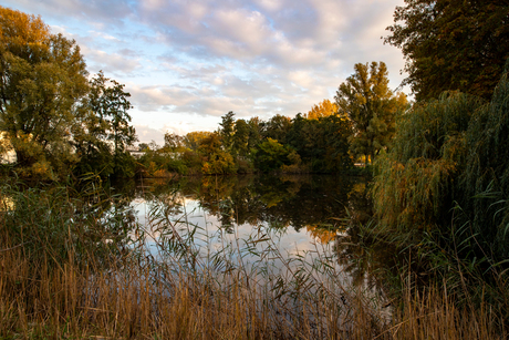 Fall colors