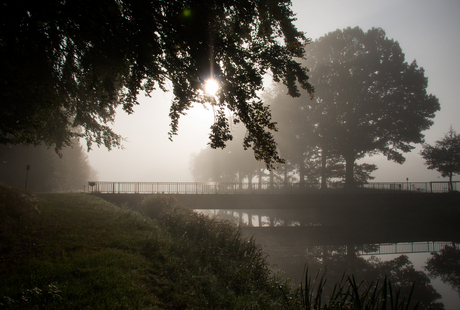 Schipbeek in het ochtendlicht