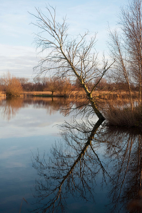 Spiegelbeeld