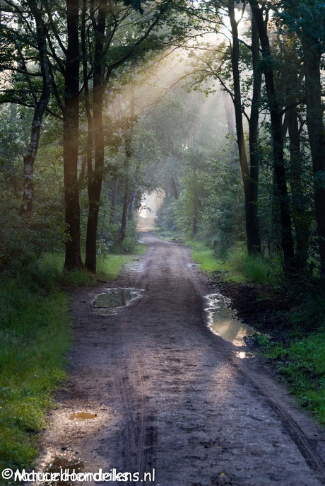 meinweg, Limburg