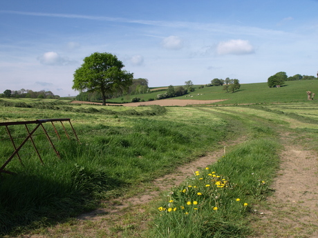 Voerstreek België