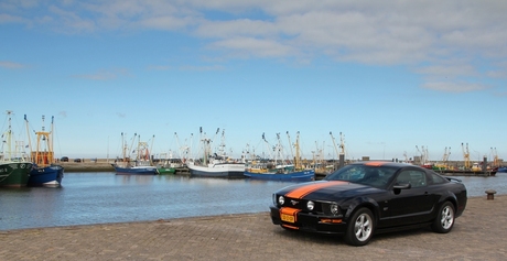Ford Mustang in de haven