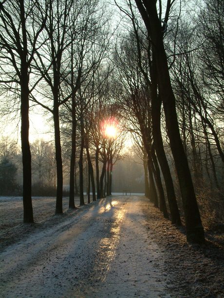 winterzonnetje