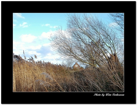 Biesbosch