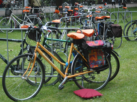 Fietsen bij Dunya-festival