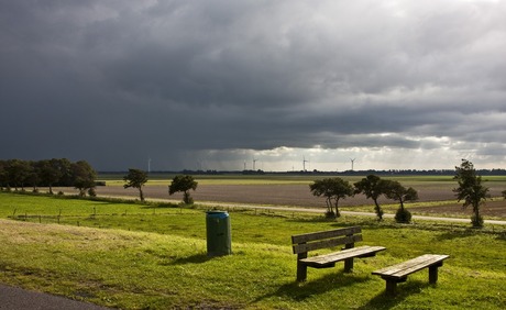 Polder landschap 3376