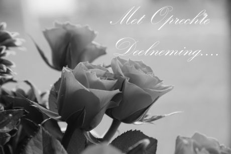 Oprechte Deelnemimg-03.jpg