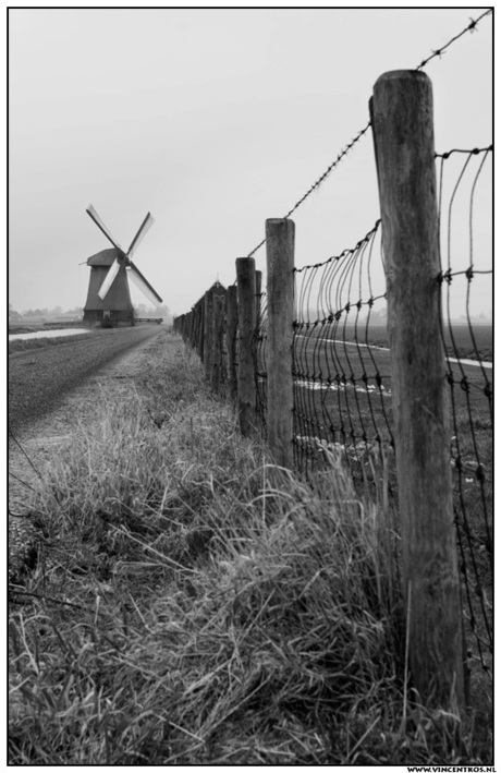 Molen in de schermer