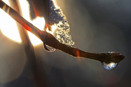 Gebroken winterlicht met ijsdruppel