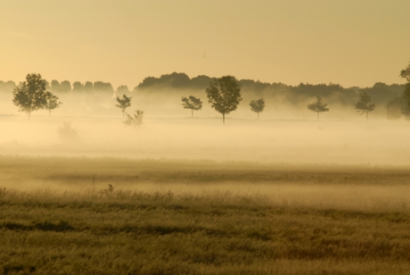 Mist op de Meilanden 2