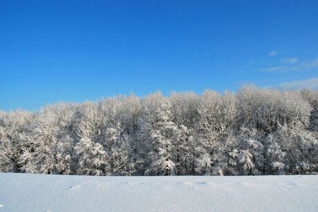 Winterslandschap.