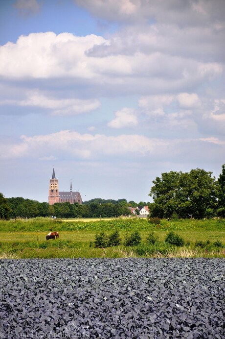 Holderbergsedijk