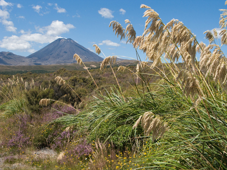 Mount Doom