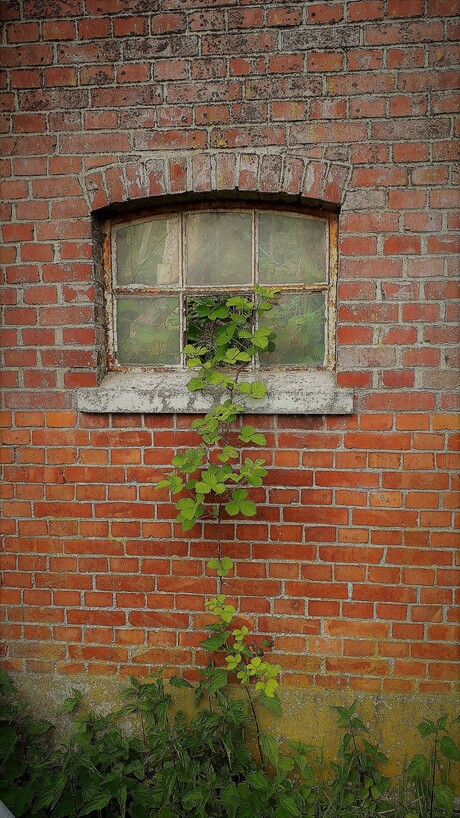 versmelting van de natuur