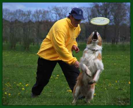 EK dog frisbee