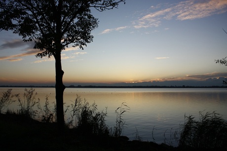 Loosdrechtse plassen