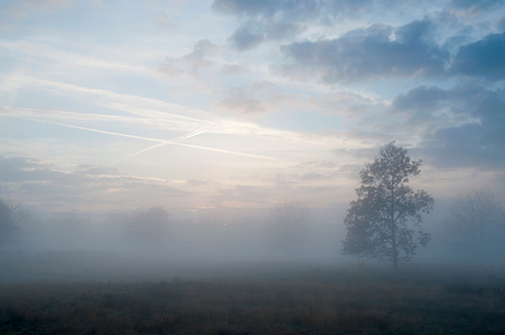 Mistige kesselse heide