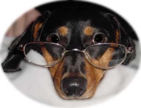 Yes, nu kan ik het beter zien