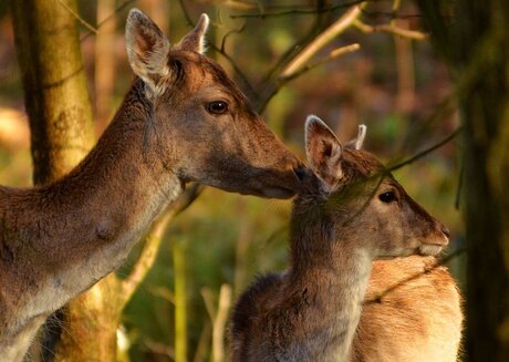 Moeder en kind...