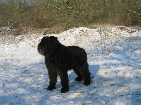 Sanne in de sneeuw