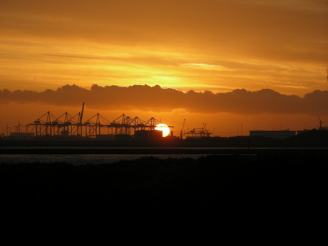 Hoek van Holland