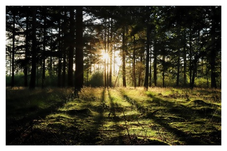 Zonsondergang in Borger