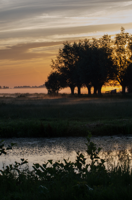 Zon en mist