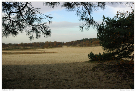 Loonse en Drunense duinen