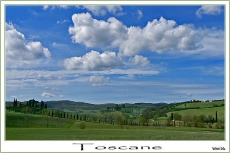 Toscane 4 (Cypressen)