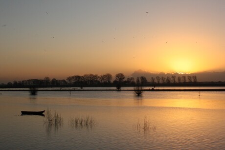 Bergse Maas hoog water