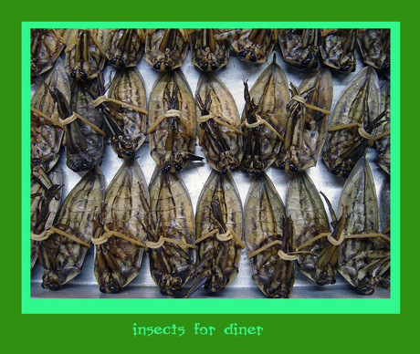 Insects for diner