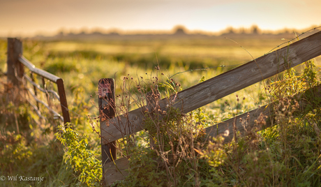 polder