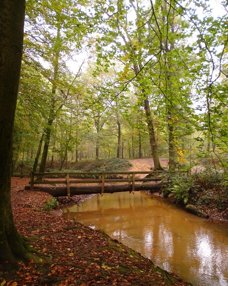 bridge over trubbled water