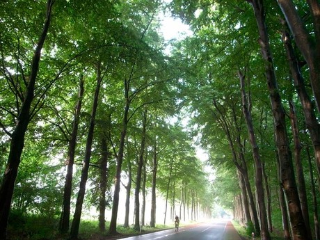 Fietsen in Gelderland