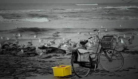 fiets op strand