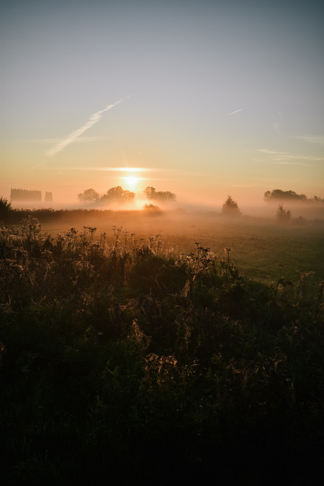 Zonsopkomst