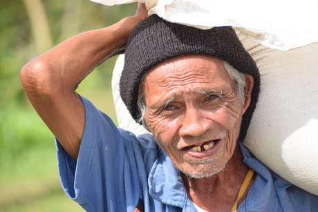 Filipijnse man, rijstvelden Bohol