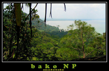 Bako NP