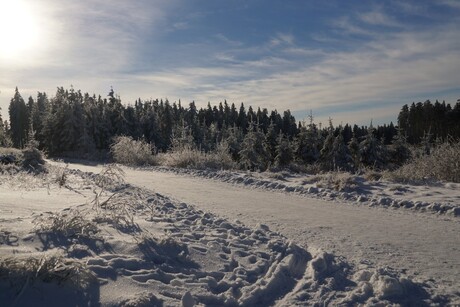 winterlandschap