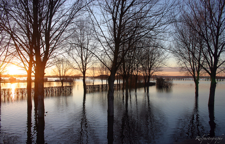 Hoog water