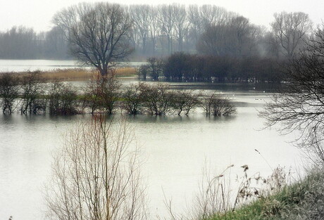 Hoog water