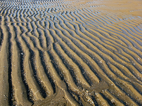 Sporen in het zand 3