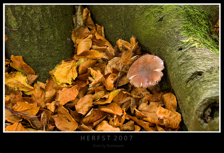 Herfst 2007