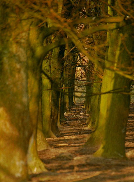 And the road goes on...