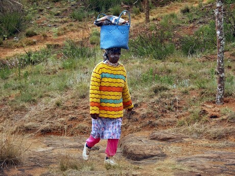 Kleurrijk Afrika